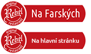 Primary Raster logo